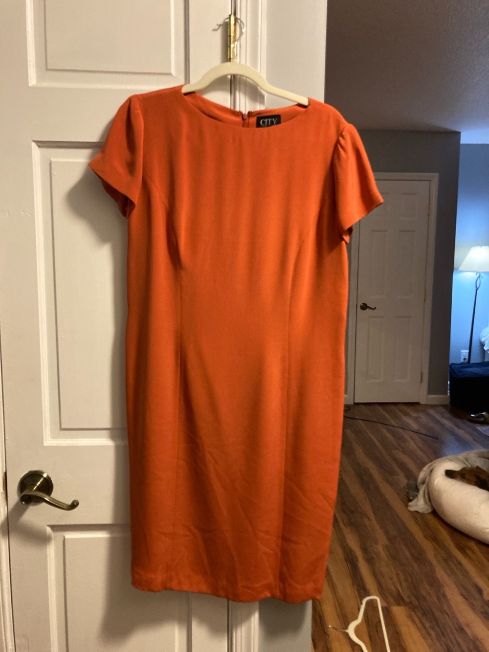 City Silk Orange Short Sleeve Midi Sheath Dress